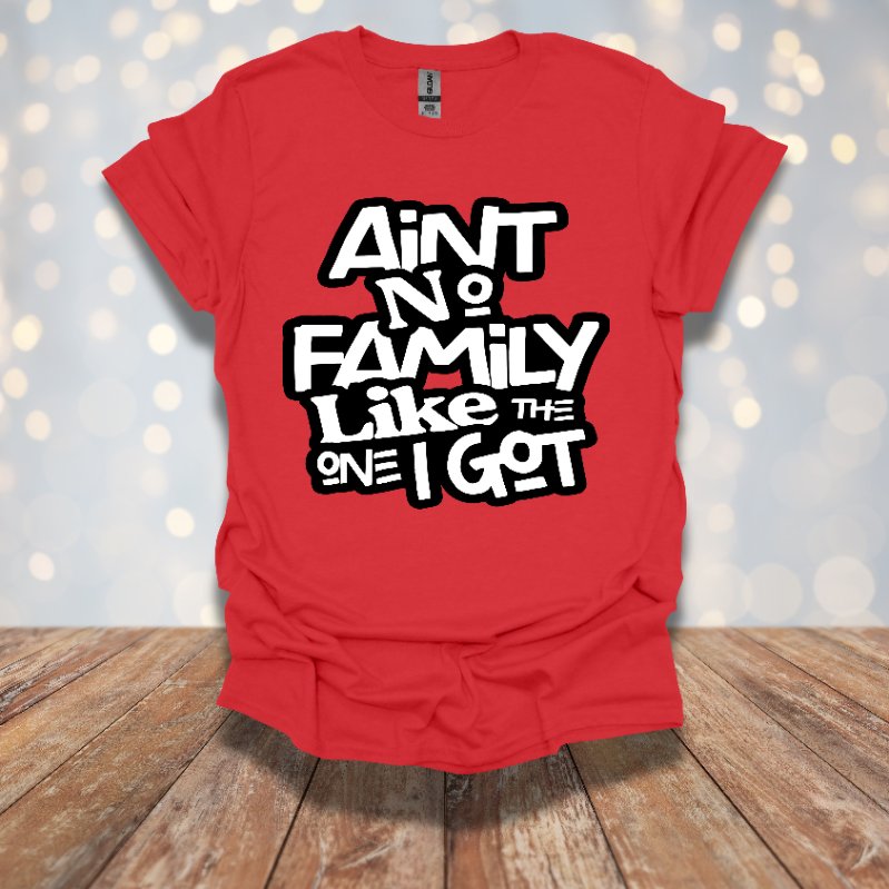 "Ain't No Family Like the One I Got" T-Shirt